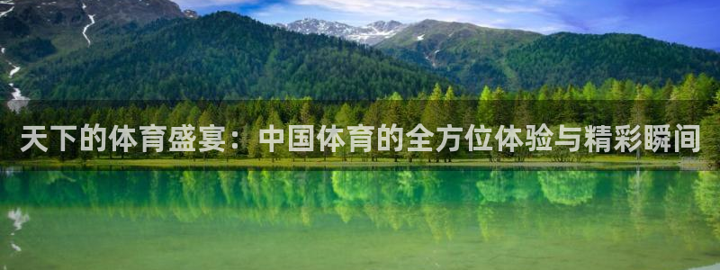 鲸鱼体育app下载：天下的体育盛宴：中国体育的全方位体验与精彩瞬间