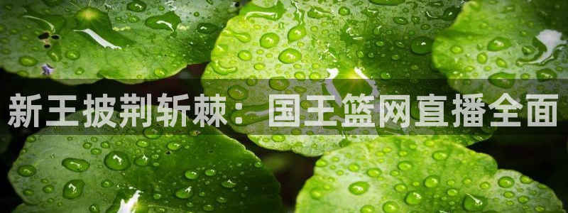鲸鱼体育网址：新王披荆斩棘：国王篮网直播全面
