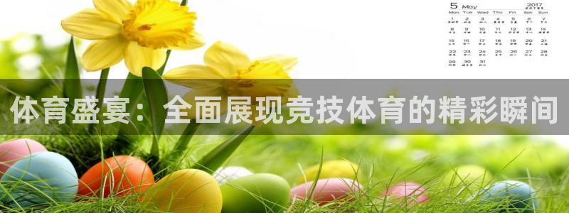 足球鲸鱼直播：体育盛宴：全面展现竞技体育的精彩瞬间