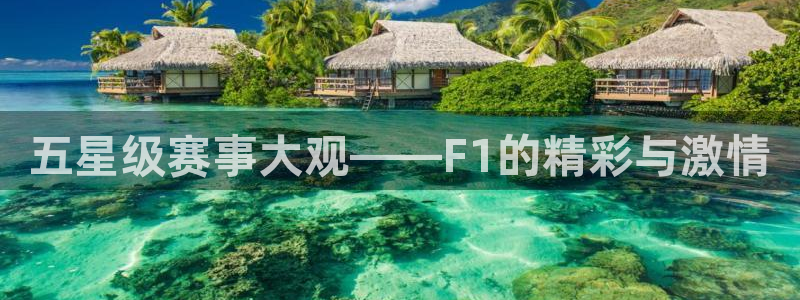 鲸鱼nba直播在线观看：五星级赛事大观——F1的精彩与激情