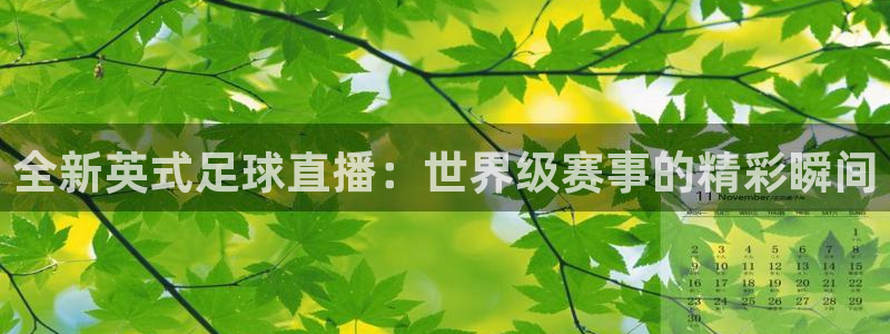鲸鱼tv：全新英式足球直播：世界级赛事的精彩瞬间
