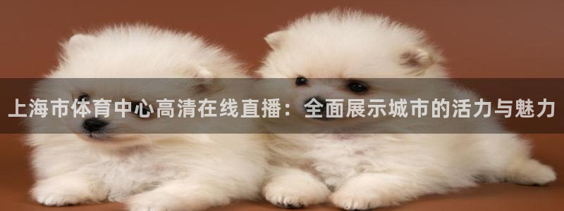 鲸鱼体育赛事直播：上海市体育中心高清在线直播：全面展示城市的活力与魅力