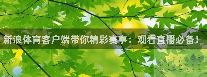 鲸鱼体育tv直播：新浪体育客户端带你精彩赛事：观看直播必备！
