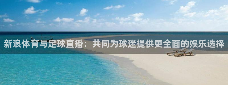 nba鲸鱼体育：新浪体育与足球直播：共同为球迷提供更全面的娱乐选择