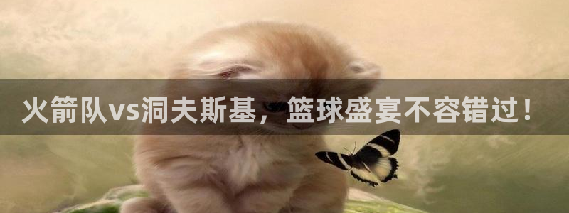 鲸鱼体育直播app官网下载：火箭队vs洞夫斯基，篮球盛宴不容错过！