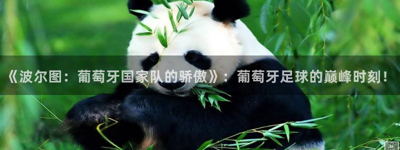 鲸鱼体育免费观看入口：《波尔图：葡萄牙国家队的骄傲》：葡萄牙足球的巅峰时刻！