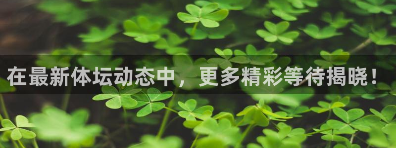 nba直播鲸鱼：在最新体坛动态中，更多精彩等待揭晓！